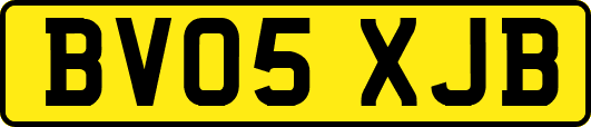 BV05XJB