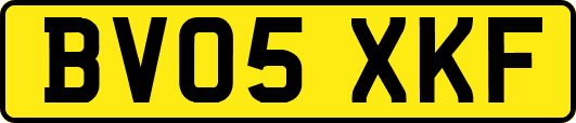 BV05XKF