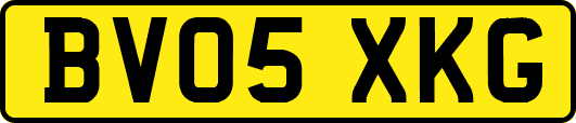 BV05XKG