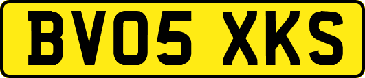 BV05XKS