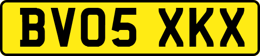 BV05XKX