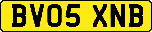 BV05XNB