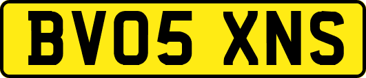 BV05XNS