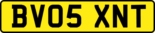 BV05XNT