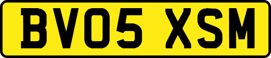 BV05XSM