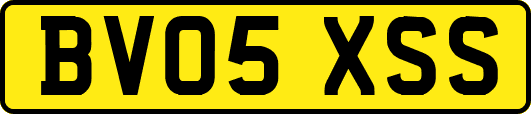 BV05XSS