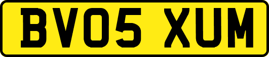 BV05XUM