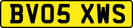 BV05XWS
