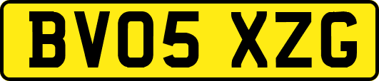 BV05XZG