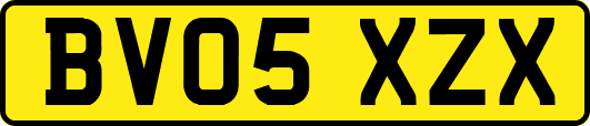 BV05XZX