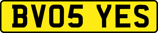 BV05YES