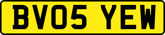 BV05YEW