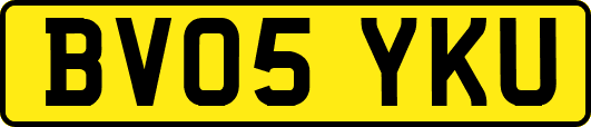 BV05YKU