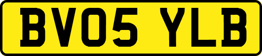 BV05YLB