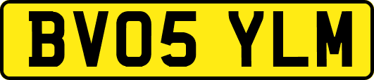 BV05YLM