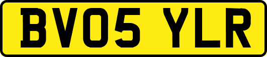 BV05YLR