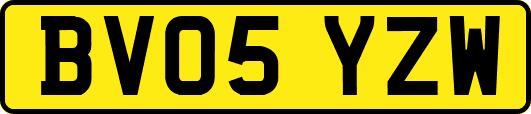 BV05YZW