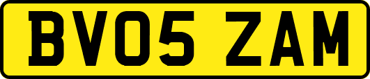 BV05ZAM