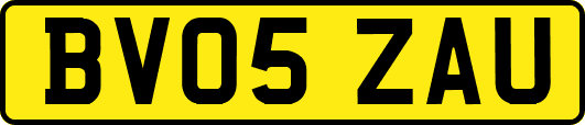 BV05ZAU