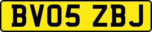 BV05ZBJ