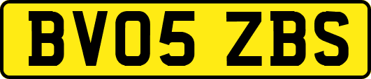 BV05ZBS