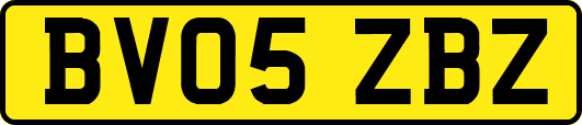 BV05ZBZ