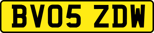 BV05ZDW