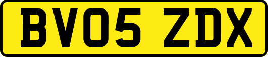BV05ZDX