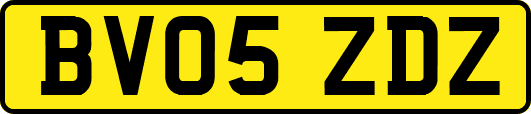BV05ZDZ