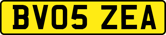 BV05ZEA