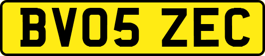 BV05ZEC