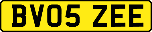 BV05ZEE