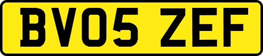 BV05ZEF