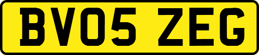BV05ZEG