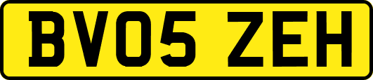 BV05ZEH