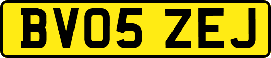 BV05ZEJ