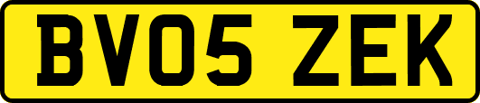 BV05ZEK