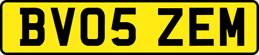BV05ZEM