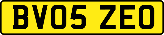 BV05ZEO