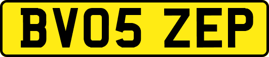 BV05ZEP