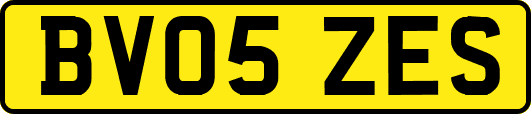BV05ZES