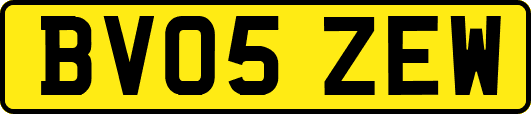 BV05ZEW