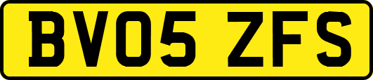 BV05ZFS