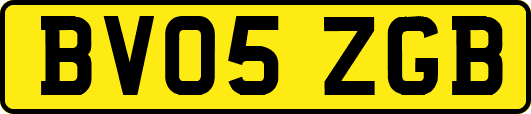 BV05ZGB