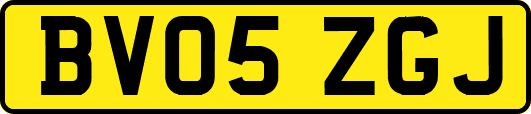 BV05ZGJ