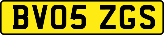 BV05ZGS