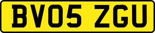 BV05ZGU