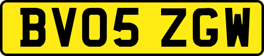 BV05ZGW
