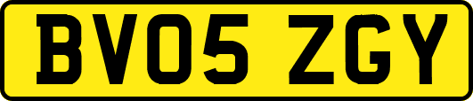 BV05ZGY