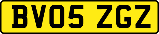 BV05ZGZ